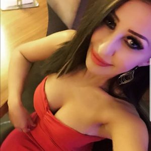 büyük göğüslü mersin escort